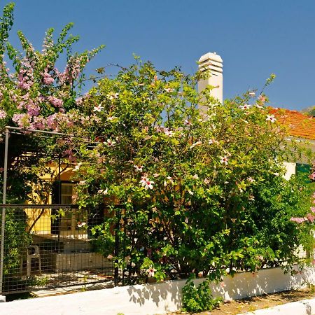 House With Garden Near The Sea Apartman Ajía Effimía Kültér fotó