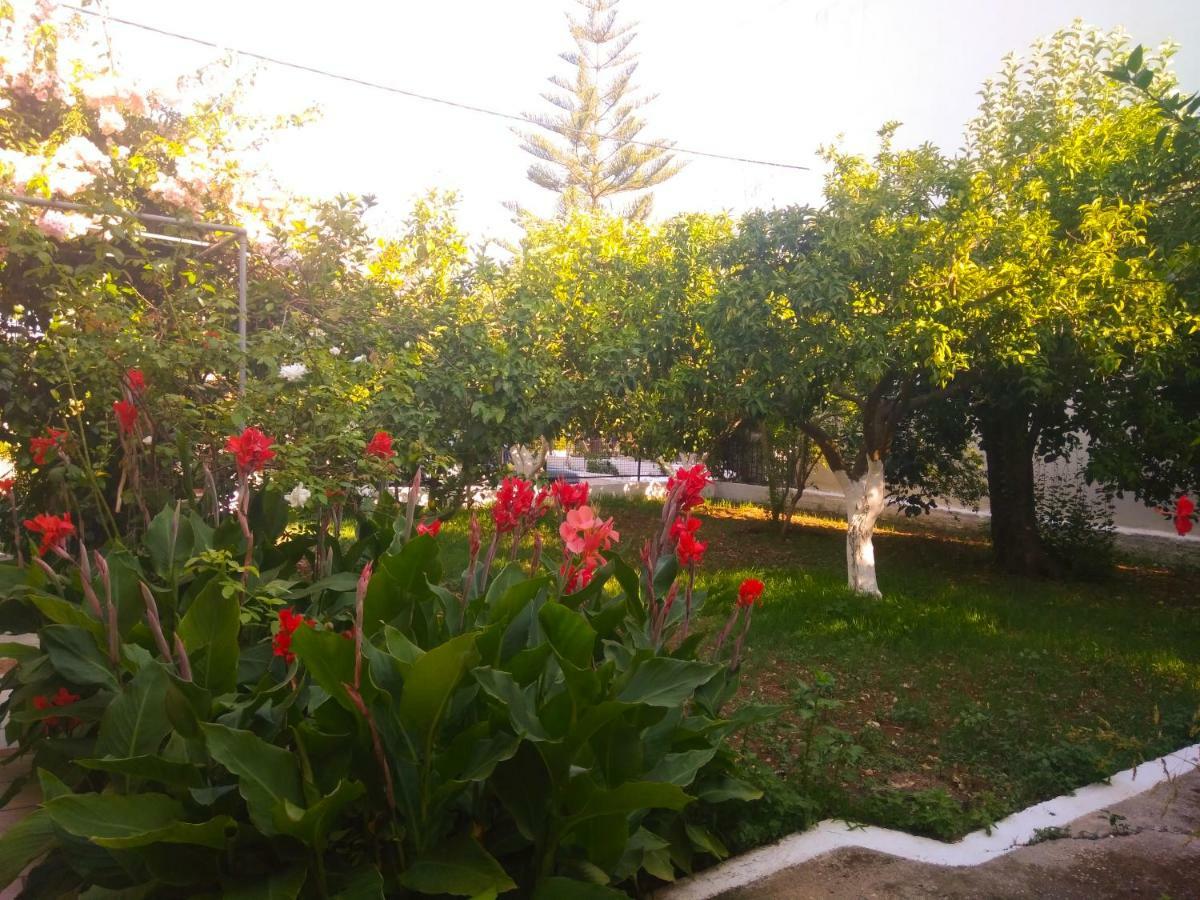 House With Garden Near The Sea Apartman Ajía Effimía Kültér fotó