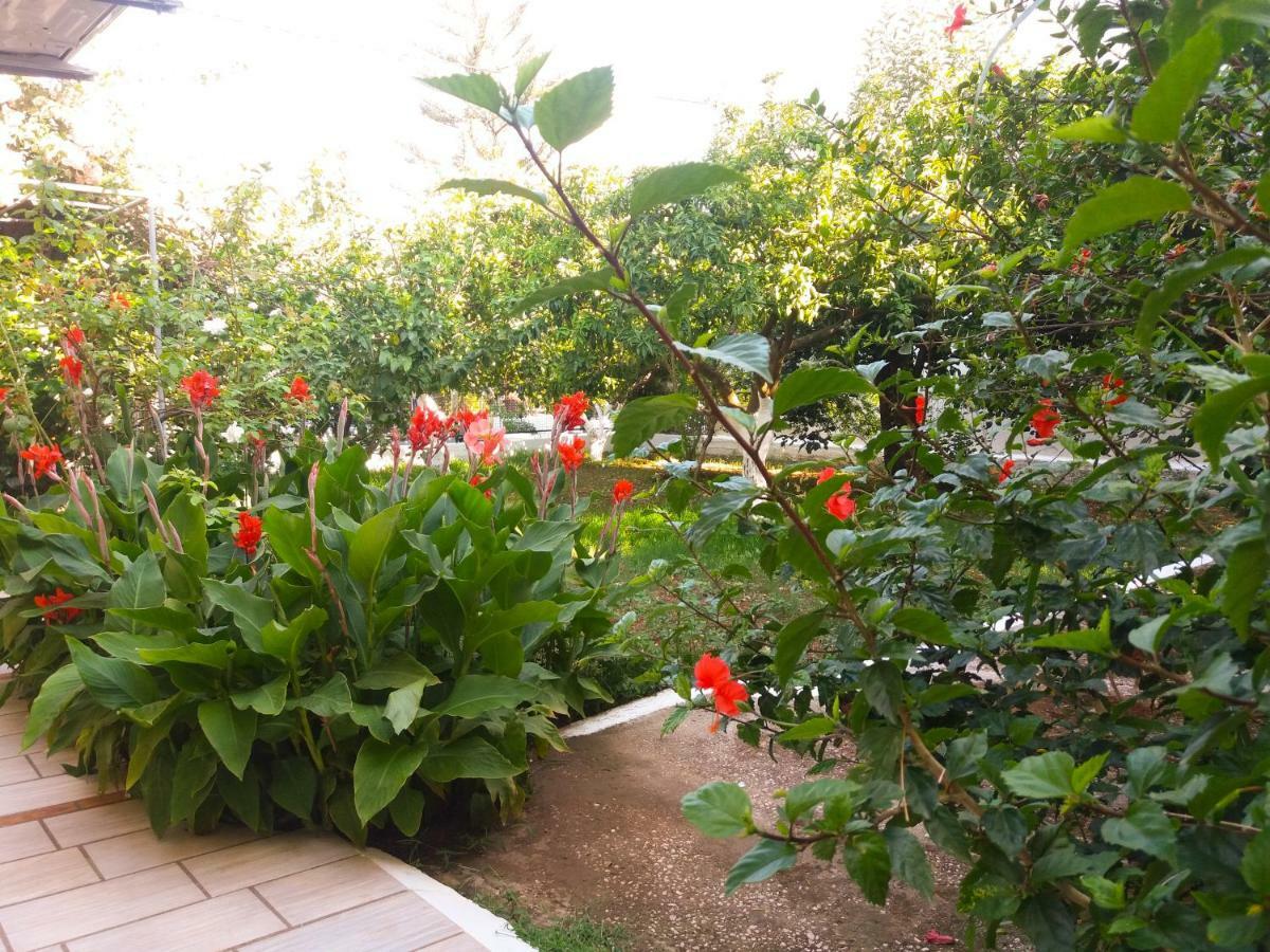 House With Garden Near The Sea Apartman Ajía Effimía Kültér fotó