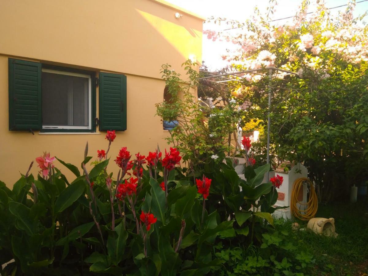 House With Garden Near The Sea Apartman Ajía Effimía Kültér fotó